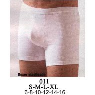 011 - Molde de Bóxer