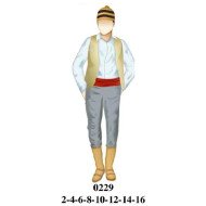 0229 - Molde de Traje chilote