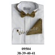 09504 - Molde de Camisa cuello paloma