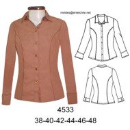 4533 - Molde de Blusa corte princesa entallada, cuello camisero